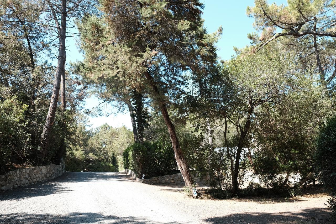 Camping Casa Di Caccia Marina Di Bibbona Exteriér fotografie